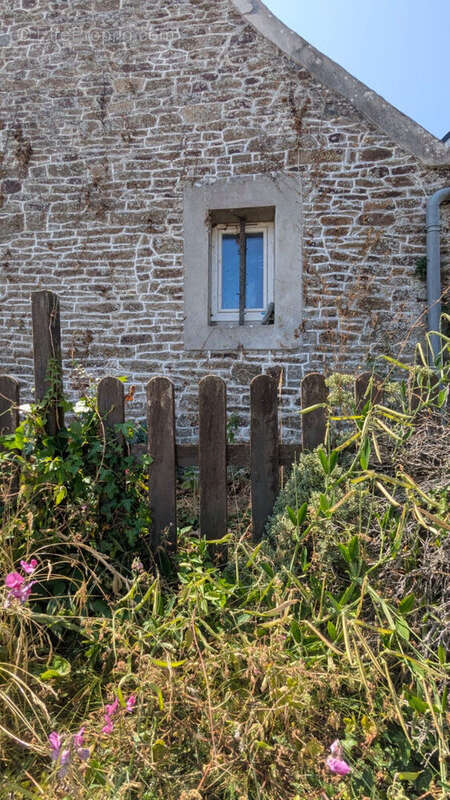 Maison 47m² à plougonven - photo 6