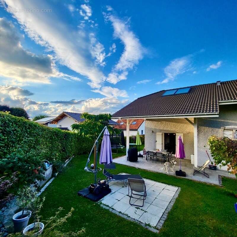 Maison à NEUVECELLE