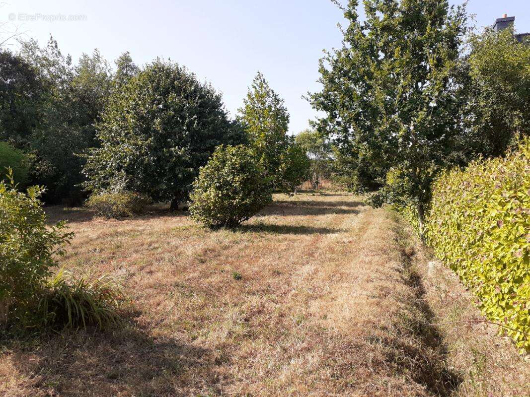 Terrain constructible 1200 m² à TELGRUC (29 560) Presqu'île de Crozon - photo 2