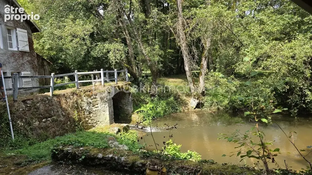 Moulin et dependances -jardin de 4 hectares - photo 7