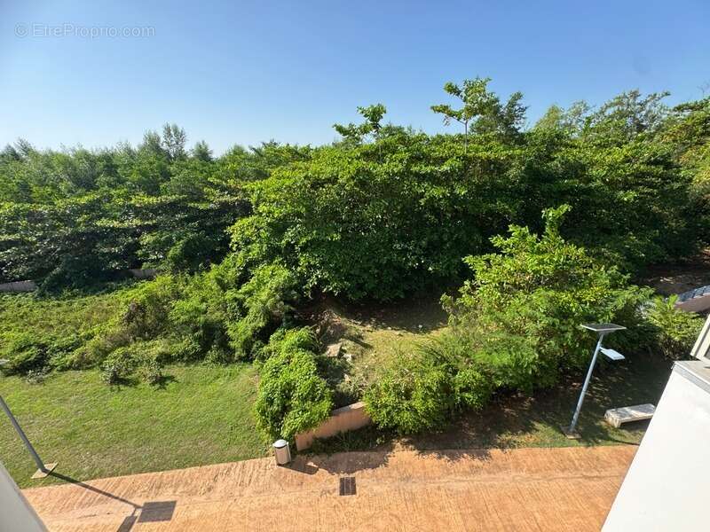 Coup de coeur pour ce splendide T2 de 81 M2 dont 52m2 habitable, à CAYENNE vue océan - photo 16