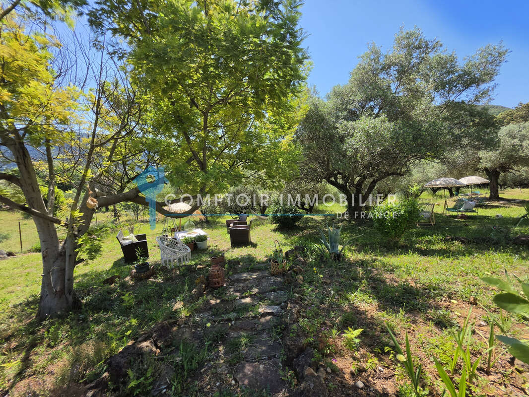 Dépt Hérault (34) - Olmet et Villecun - À vendre - Maison T4/T5 d'environ 120m2, parcelle de 2965m2, terrasse, - photo 4