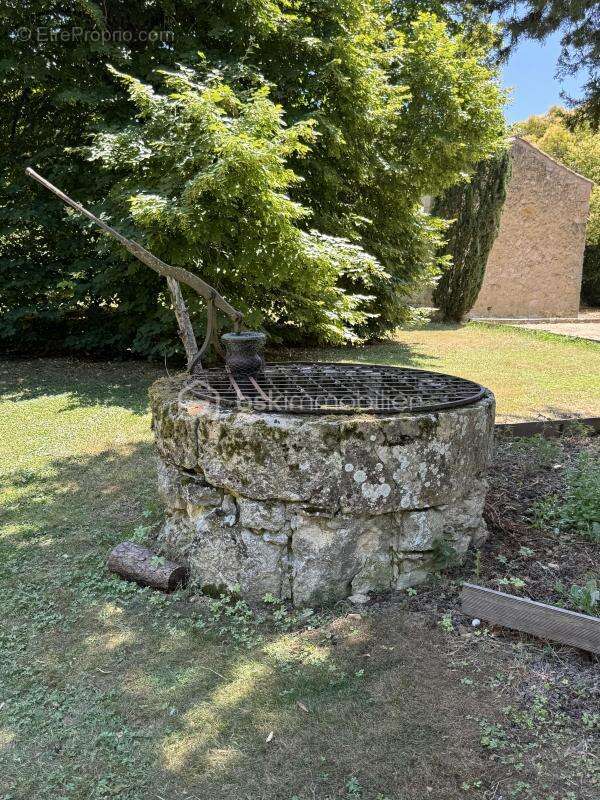 Château d’Exception au Cœur de la Ténarèze - photo 8