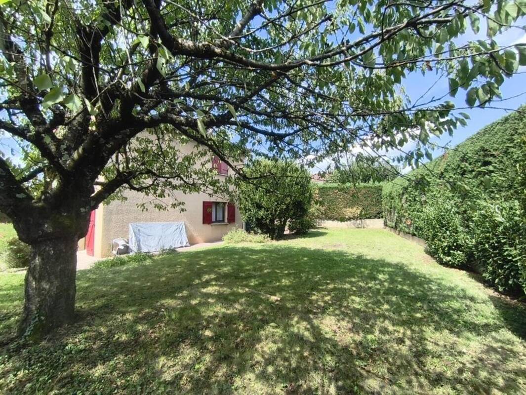 Photo 1 - Maison à GENAY