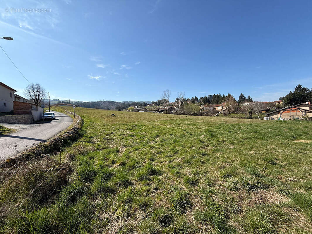 Terrain à SAINT-ANDRE-D'APCHON