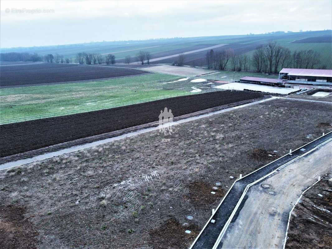 Terrain à OSTHOFFEN