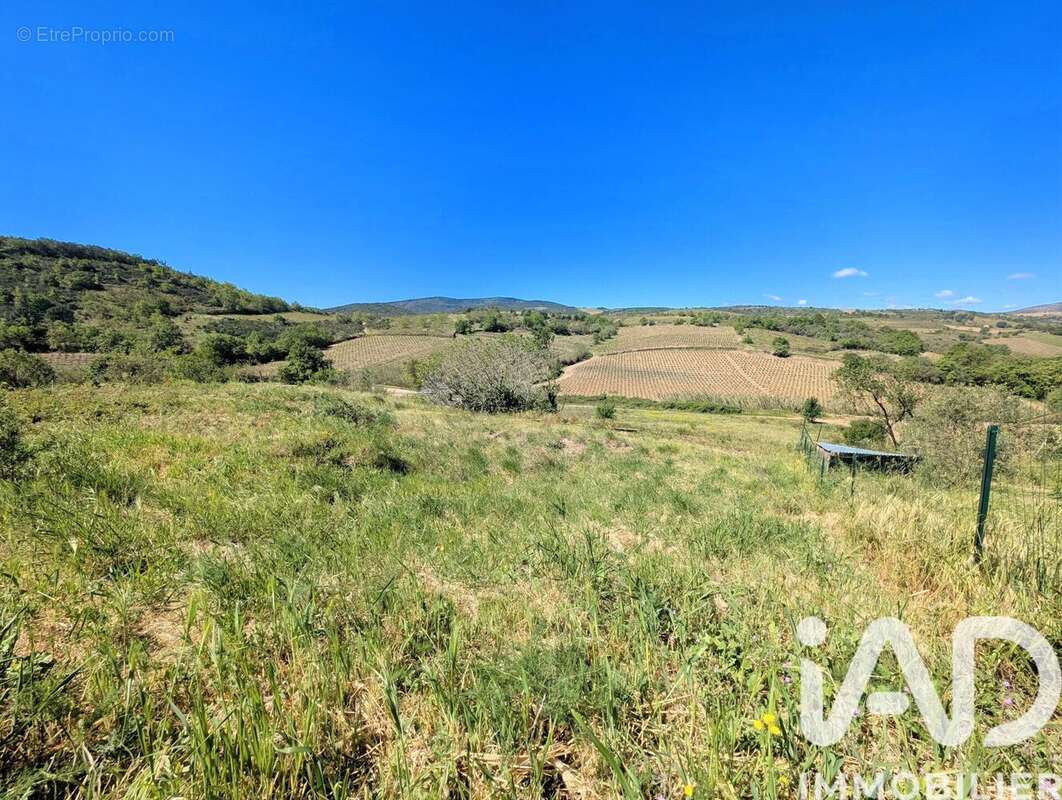 Photo 2 - Terrain à MONTNER