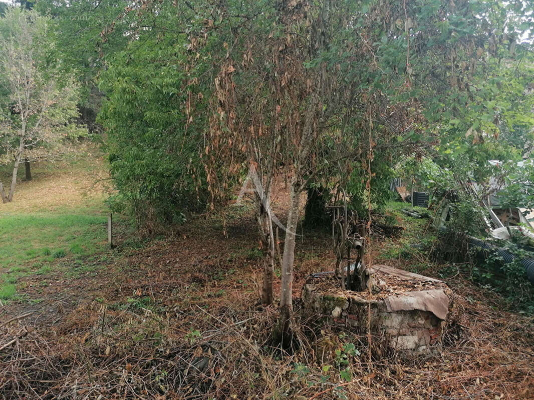 Carmaux, Terrain de 555 m² - photo 2