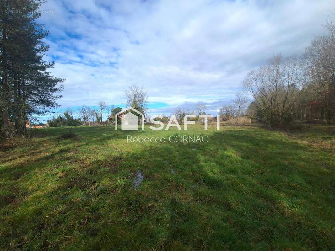 Photo 2 - Terrain à VILLEMATIER
