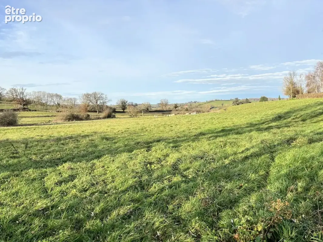 Terrain à bâtir de 949 m² à SAINT-ROMAIN-SOUS-GOURDON (71) - photo 4