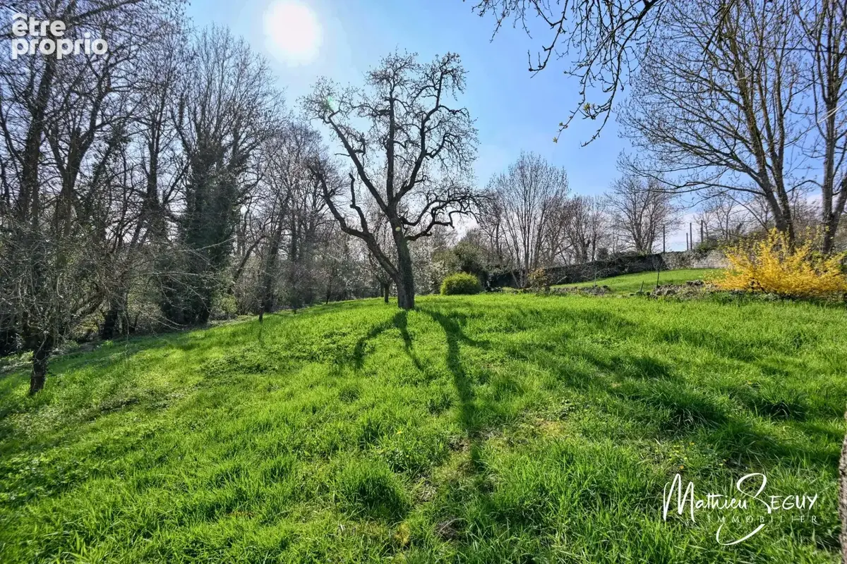 Ancien Moulin sur 1,3 Ha de terrain à MESSIMY (69) - photo 29