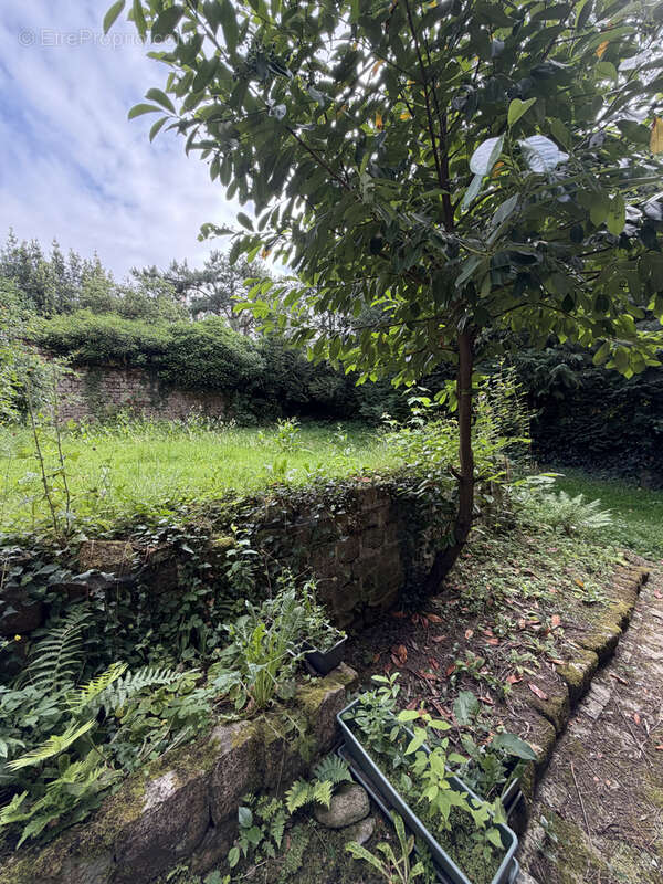 LA FERTE MACE, centre ville - photo 9