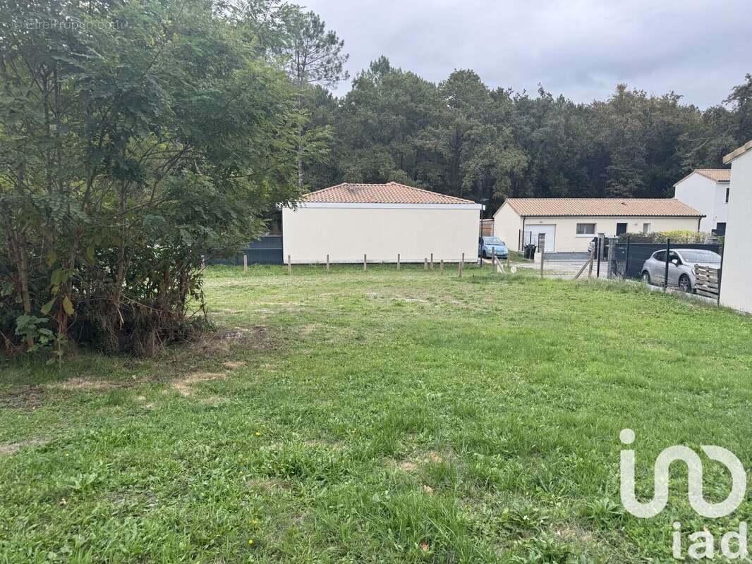 Photo 4 - Terrain à SAUCATS