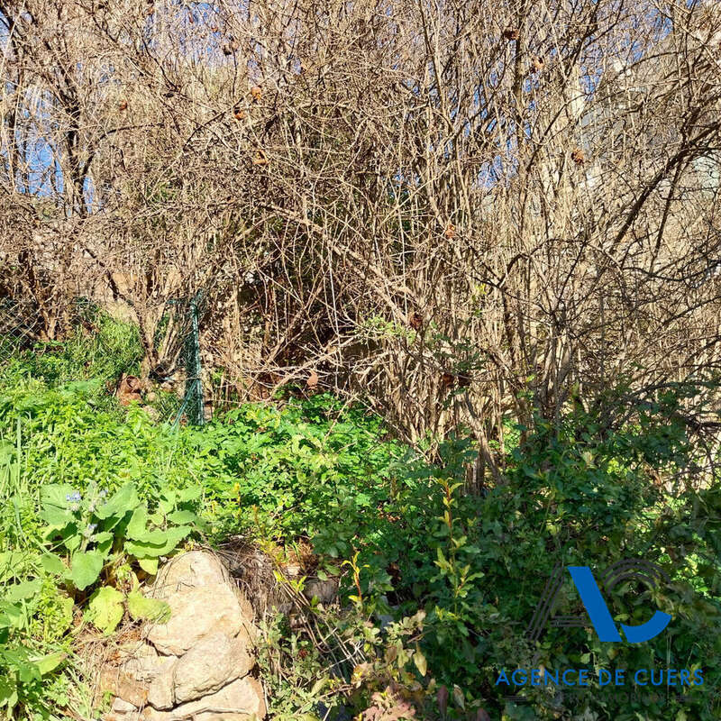 Terrain à CUERS