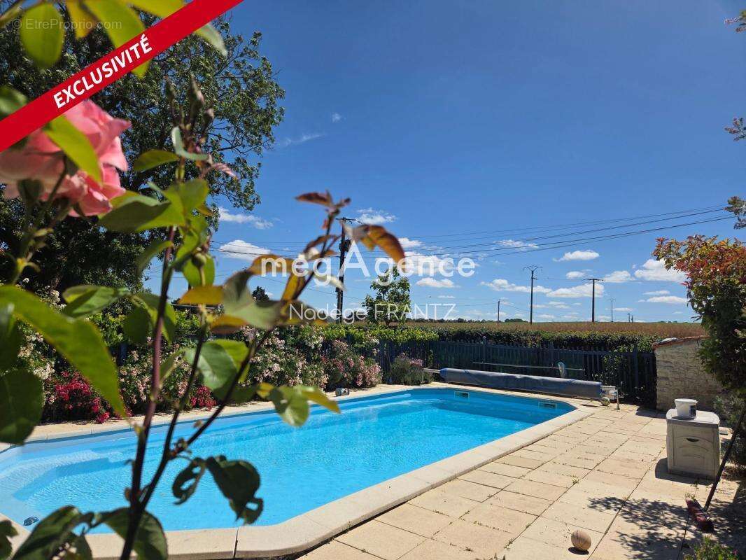 Propriété avec maison, 2 gîtes, 2 piscines et dépendance - Saint-Loup (17380) - photo 16