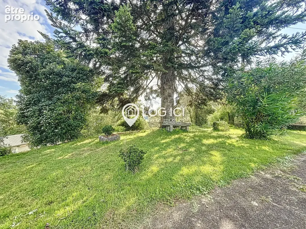 ASSON - Vente Maison T6 avec piscine sur 2 hectares - photo 5