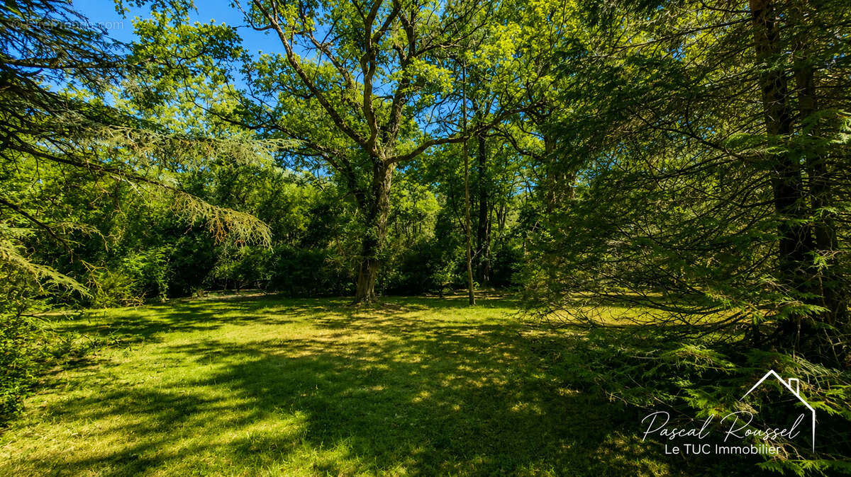 LONGERE DE CARACTERE-270 m2-3,5 hectares de bois-Dépendances - photo 12