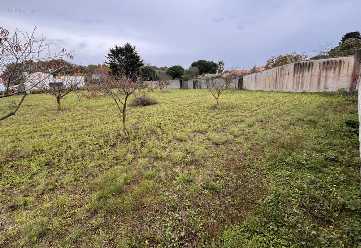 Terrain à L'ILE-D'OLONNE