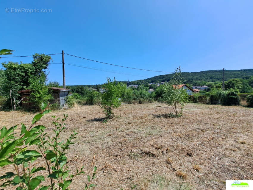 Terrain 3230 m² à Manzat  - photo 2