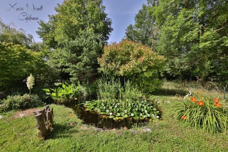 Maison à MONTPONT-EN-BRESSE