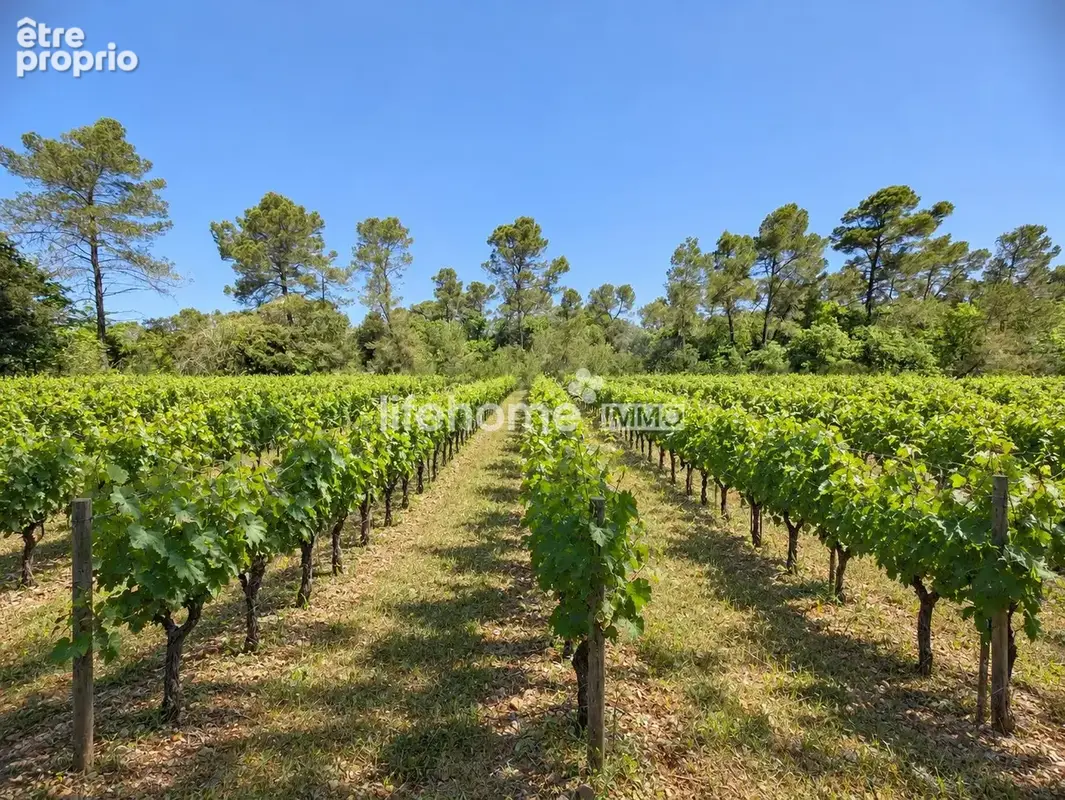 Terrain 29 121 m² à vendre à Le Luc (83340) - photo 1