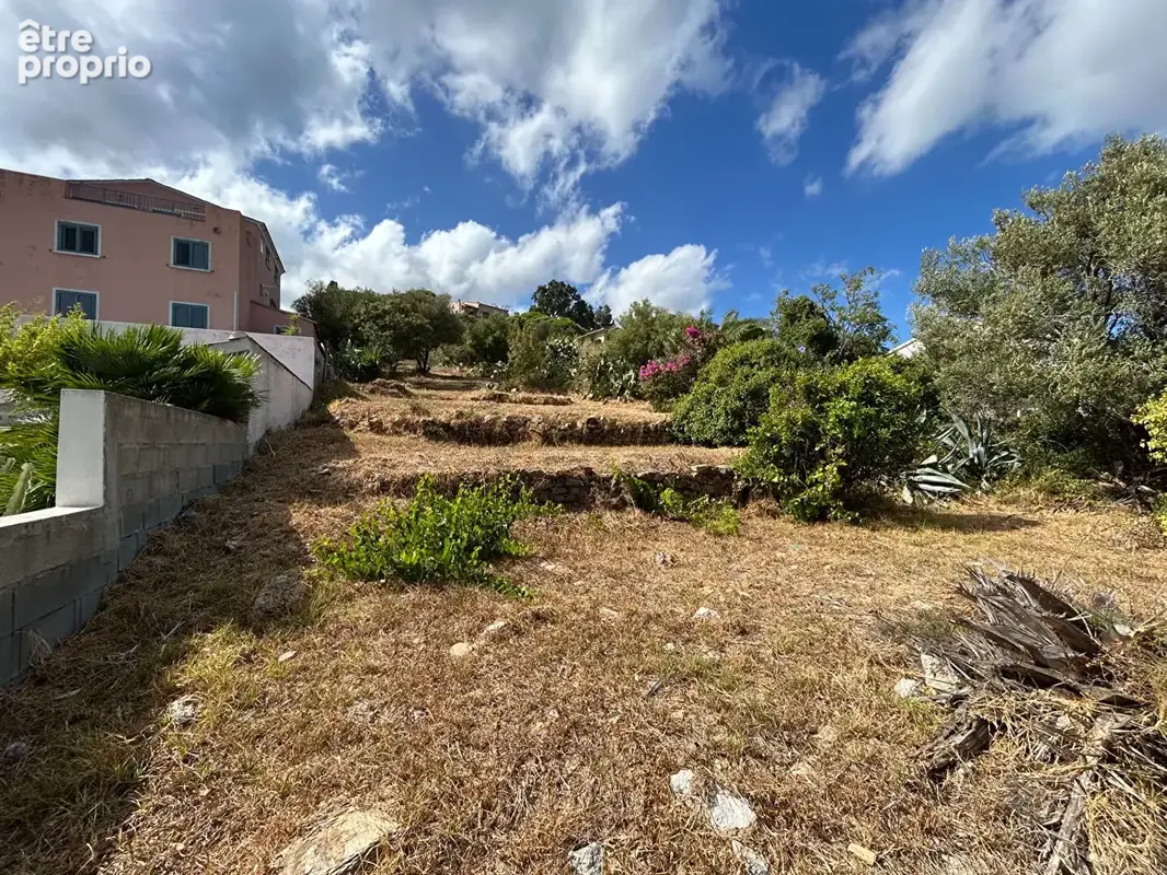 Terrain 1438m² à bastia - photo 4