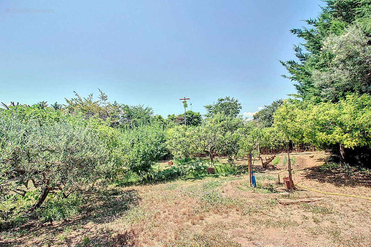 A VENDRE Maison Draguignan 6 pièces 192 m² - photo 17