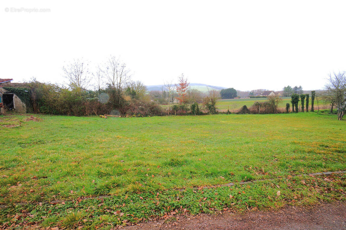Terrain à JOIGNY