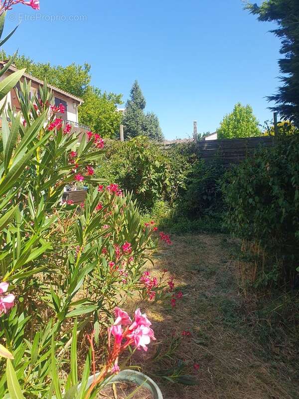 Photo 5 - Maison à SAINT-FONS