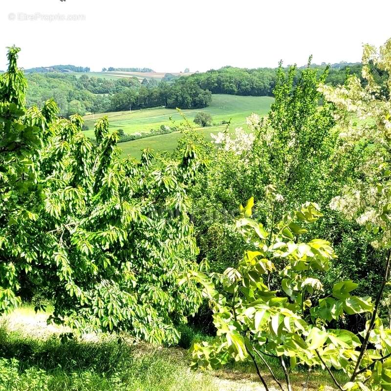 Maison à SAINT-CLAR