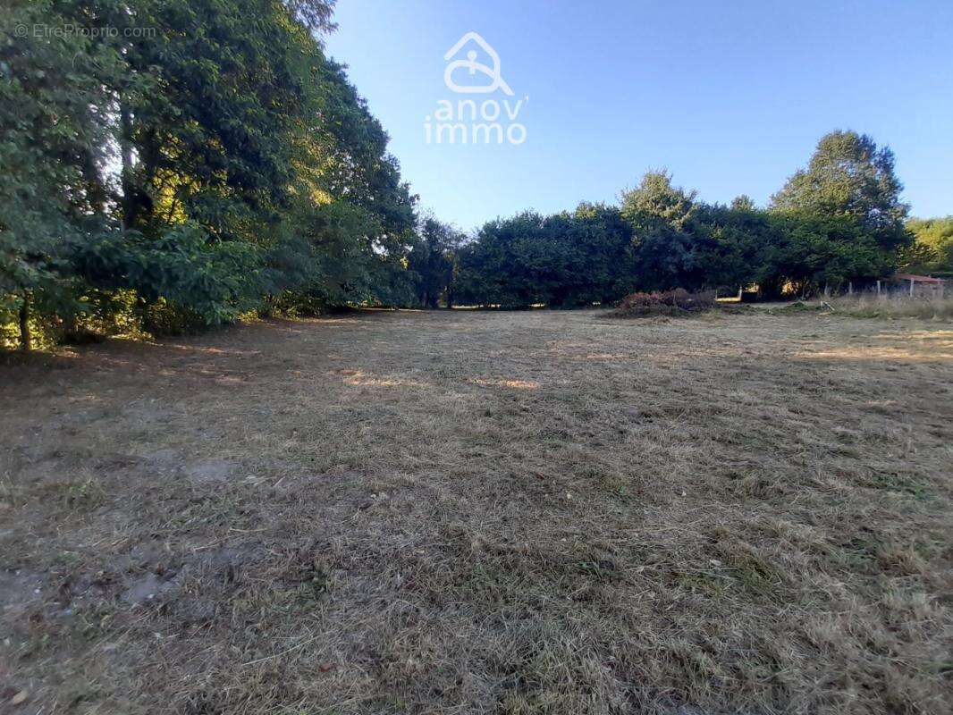Rare Opportunité Terrain de 3 148 m2 à Saint-Junien - Cadre - photo 3