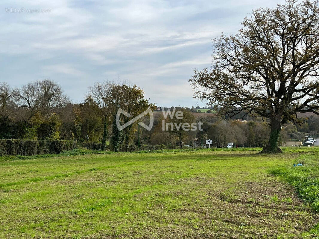 Terrain à MOUCHAMPS