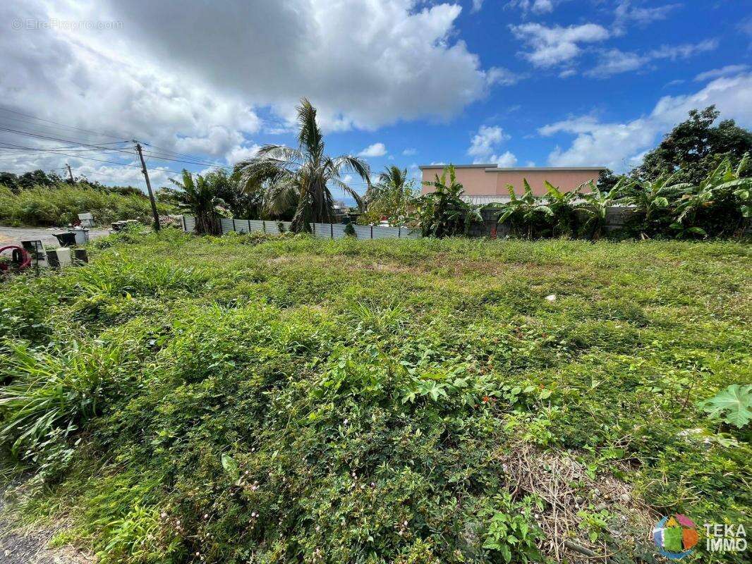 Teka immo vous propose a vendre des parcelles de 300m²  sur st benoit, a moins de 5 minutes du gher, ile de la reunion - photo 5
