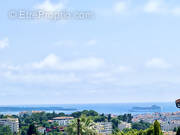 Commerce à LE CANNET