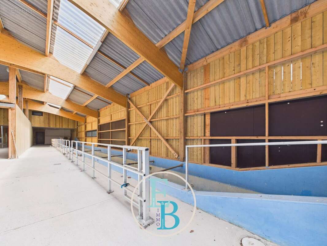 Grangues (pays d'auge) - centre d'entrainement et de reeducation equin avec balneotherapie - photo 11