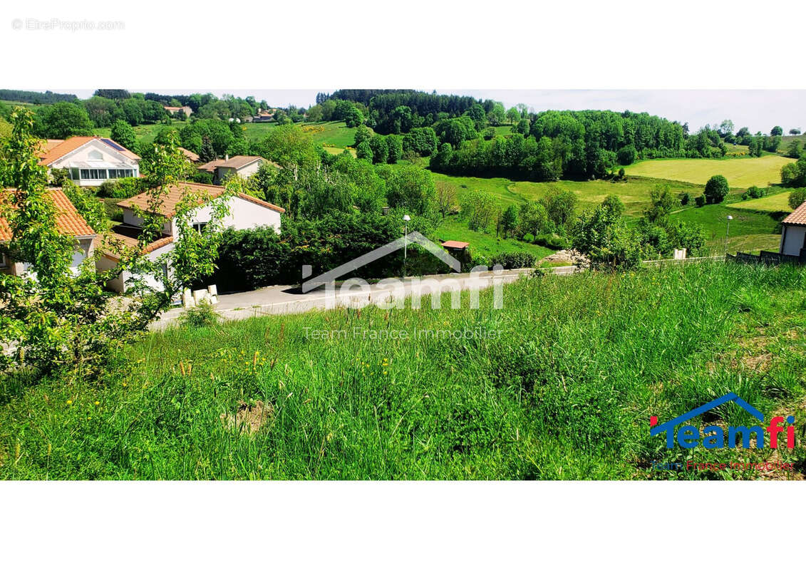 Terrain à SAINT-DIDIER-EN-VELAY