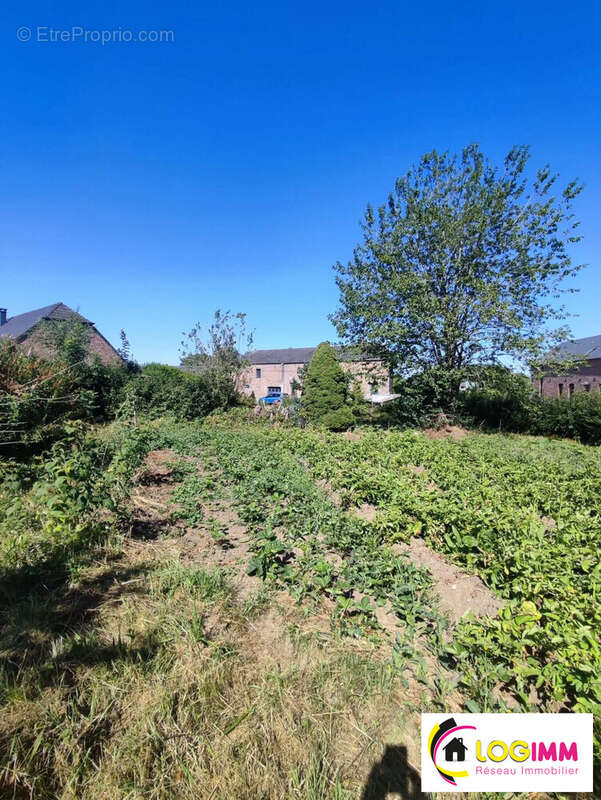 Terrain 695 m² à Maroilles  - photo 8