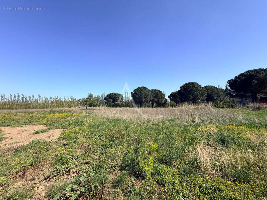Terrain à CASTELNOU