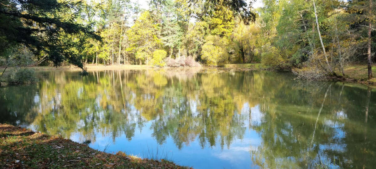 20251105_142757 - Terrain à PIEGUT-PLUVIERS