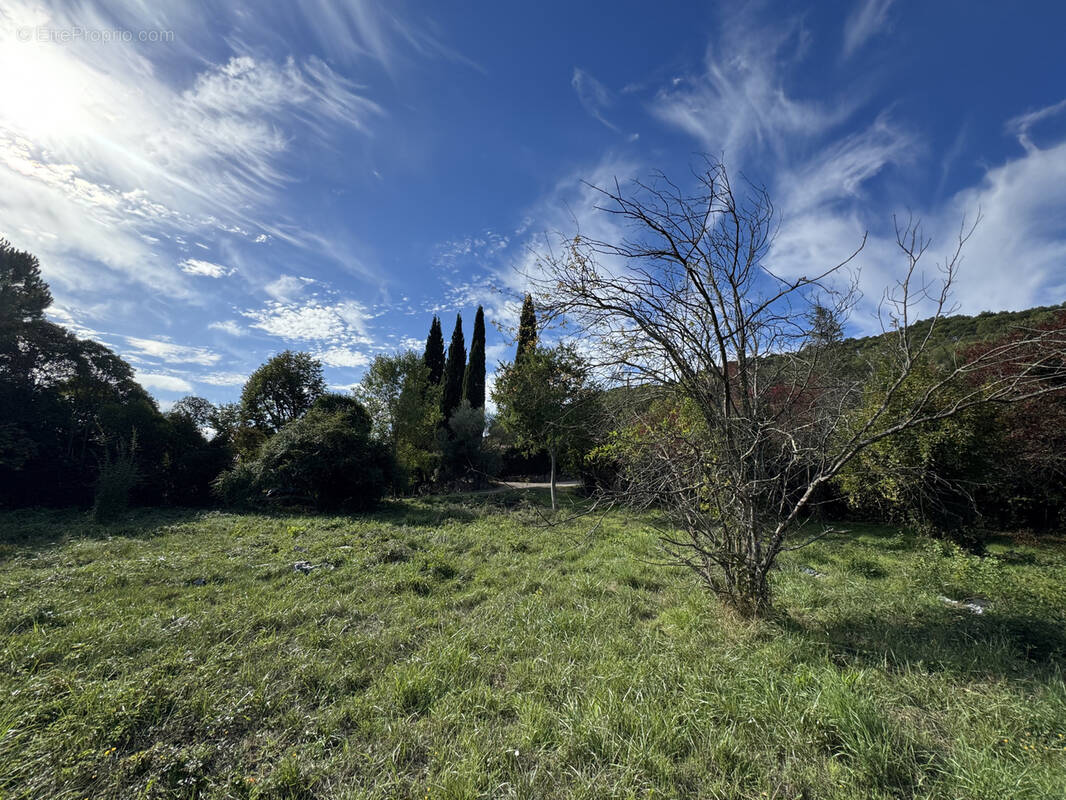 Terrain à CARNOULES