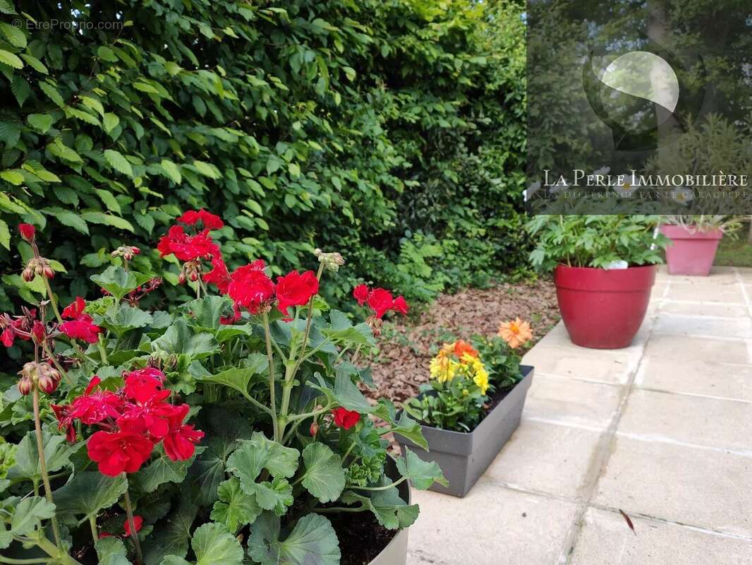 Maison à BRUGUIERES