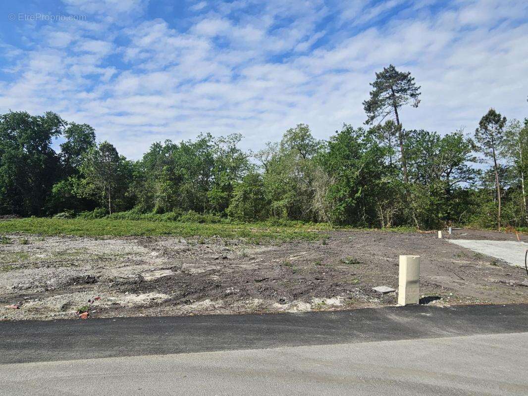 Terrain à LA BREDE