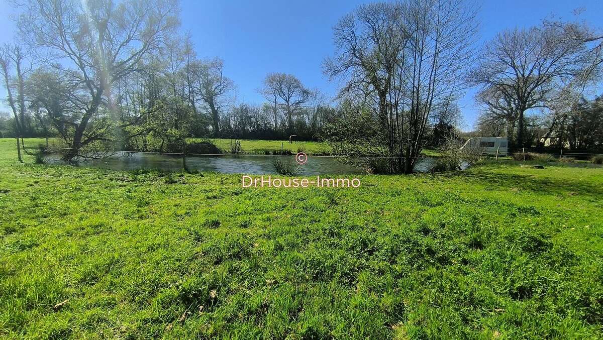 Terrain à LA RONDE-HAYE