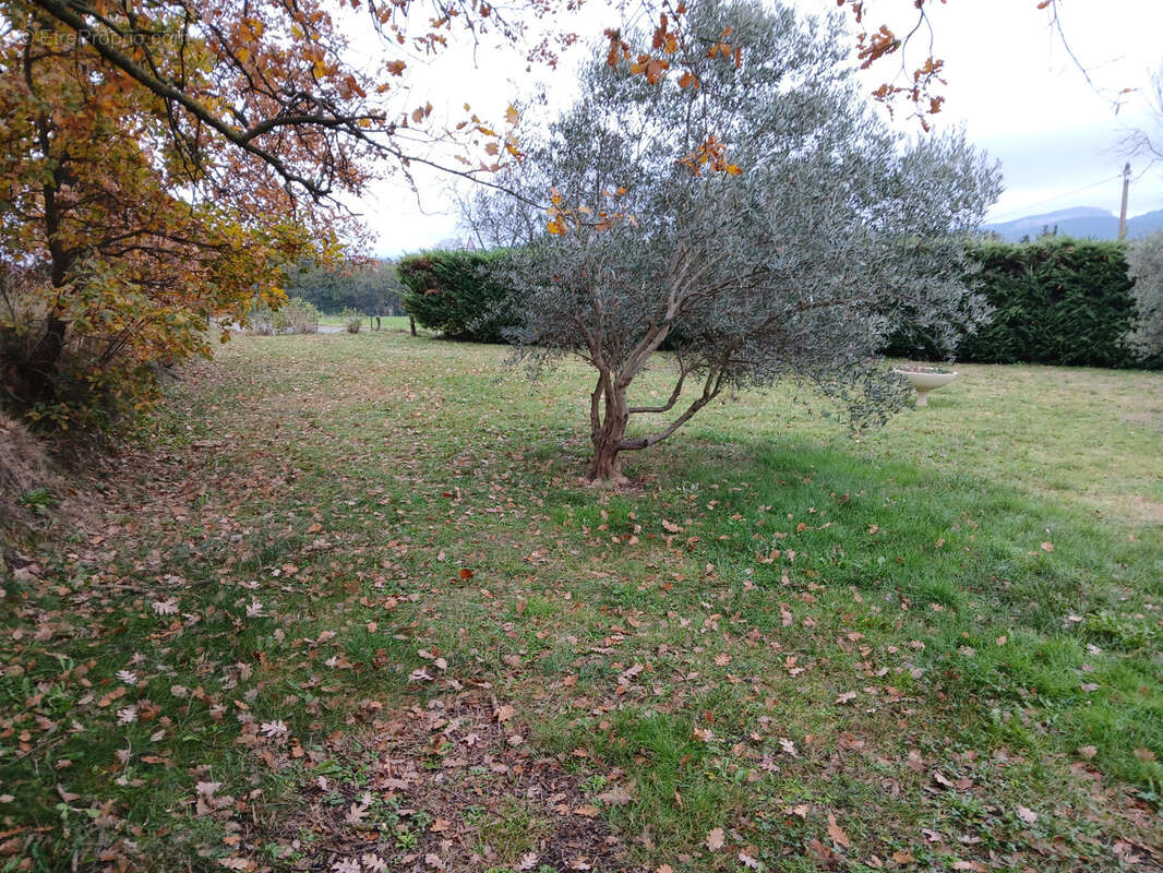 Terrain à SAINT-CHRISTOL-LES-ALES