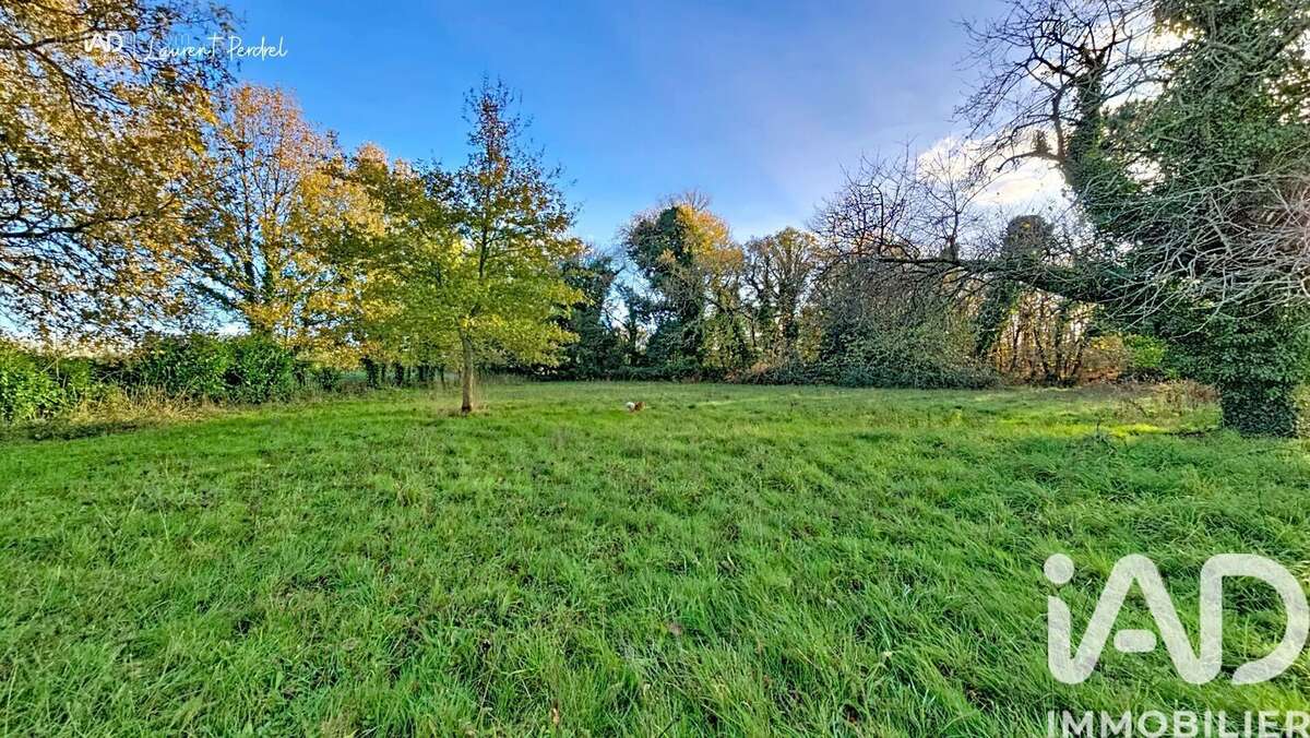 Photo 6 - Terrain à ALLAIRE