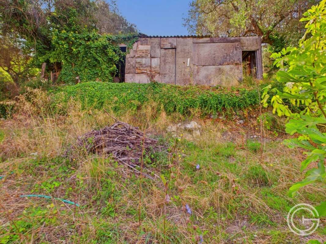 Terrain Constructible - 1.329m² - Chemin de Rimiez - ST ANDRE DE LA ROCHE - photo 3