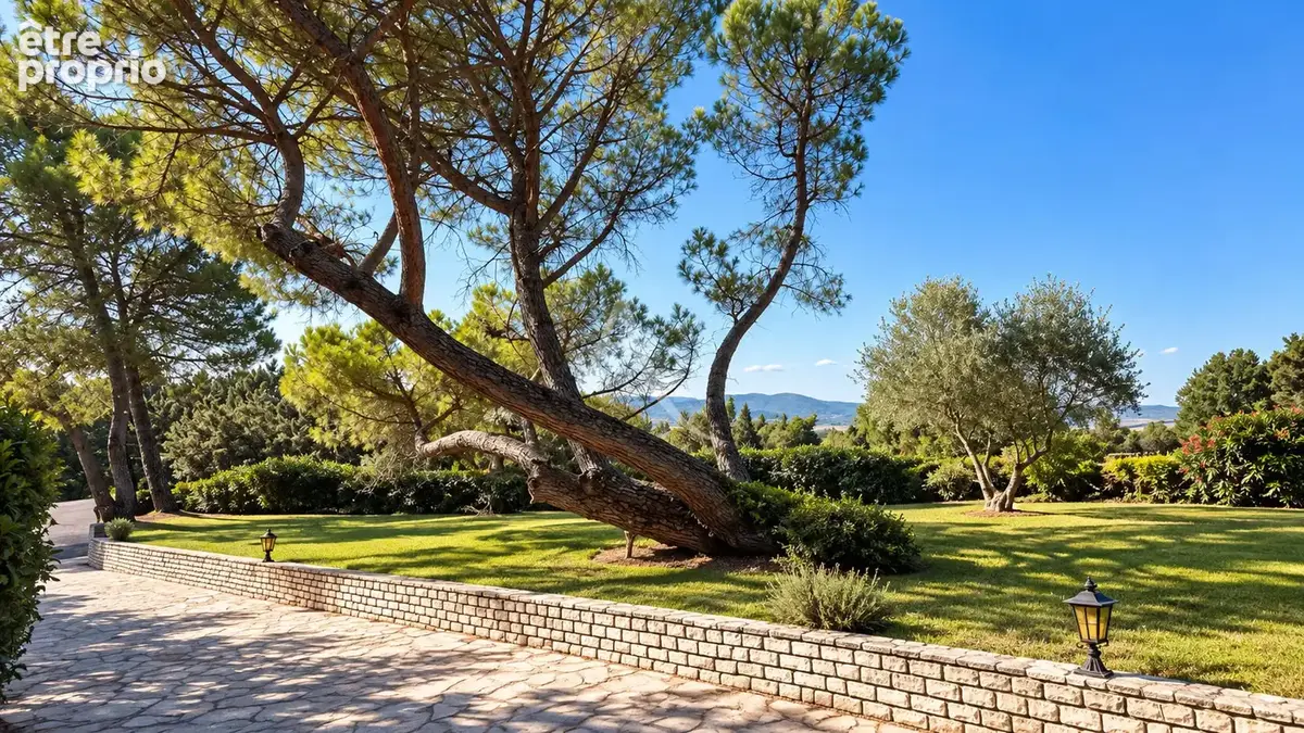 Propriete forcalquier villa dependance piscine hangar jardin - photo 3