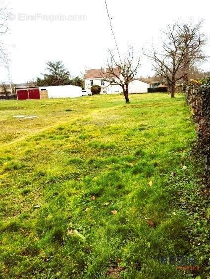 Terrain à LUSIGNY
