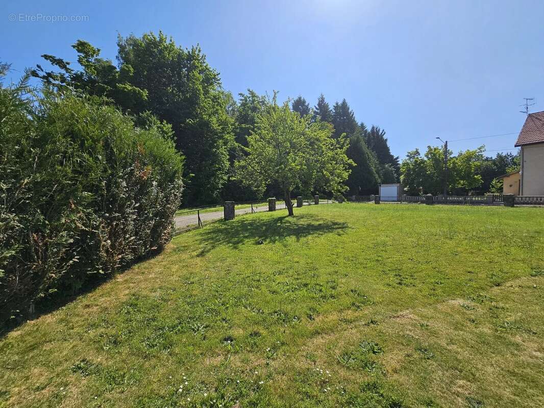 Terrain à MERCY-LE-BAS