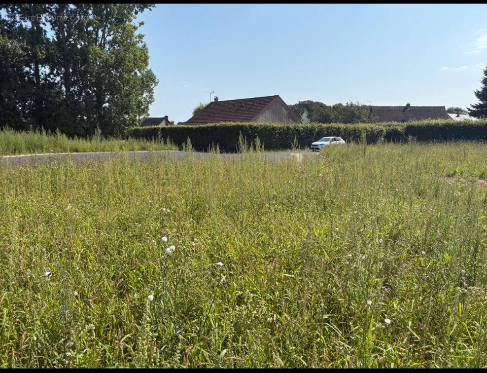 Terrain à NORMANVILLE